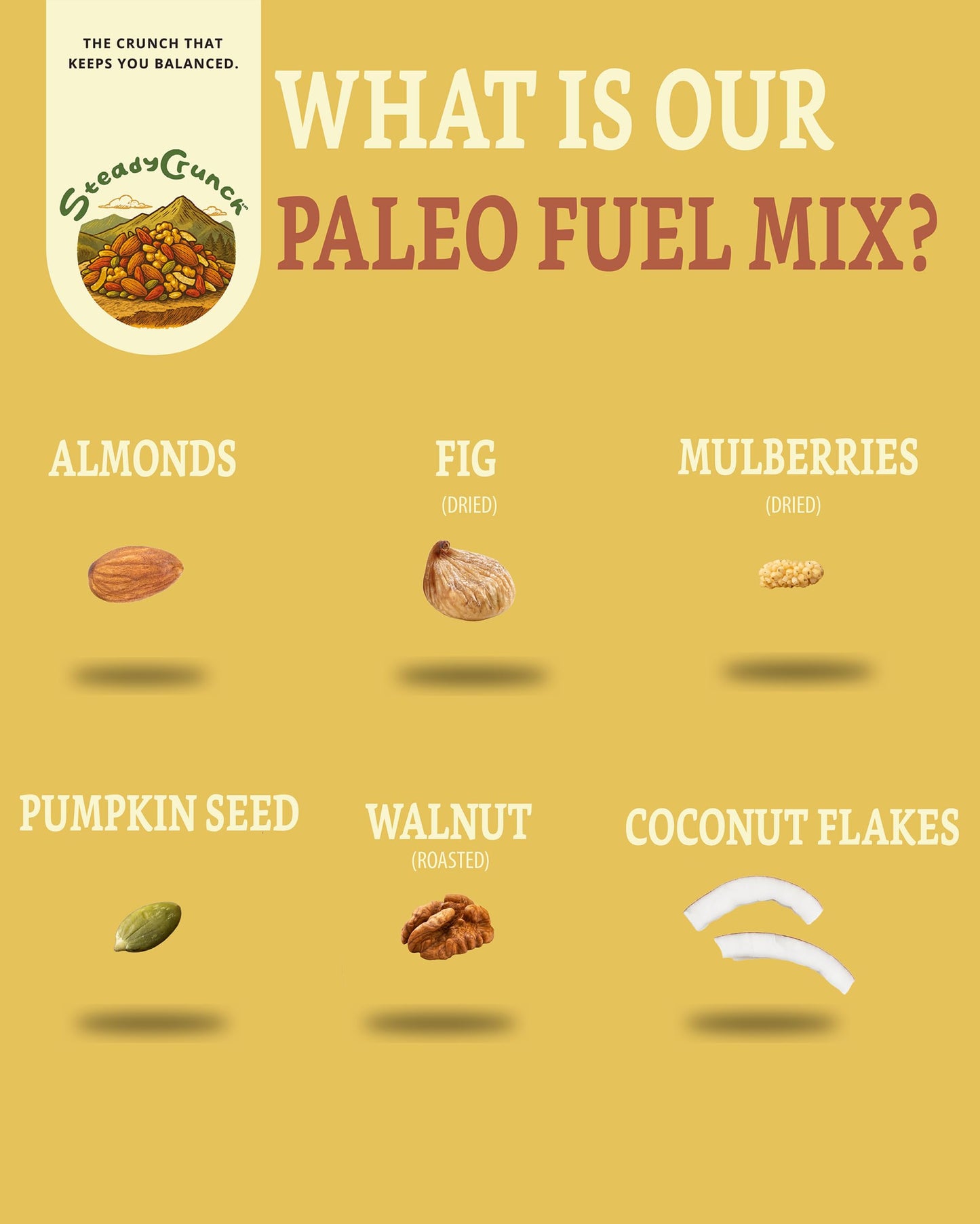 SteadyCrunch Paleo Fuel Trail Mix - Non-GMO & Gluten Free Healthy Snacks - Vegan Mixed Nuts and Dried Fruit Snack Packs - Walnuts, Almonds & Fig