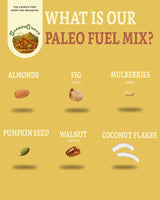 SteadyCrunch Paleo Fuel Trail Mix - Non-GMO & Gluten Free Healthy Snacks - Vegan Mixed Nuts and Dried Fruit Snack Packs - Walnuts, Almonds & Fig