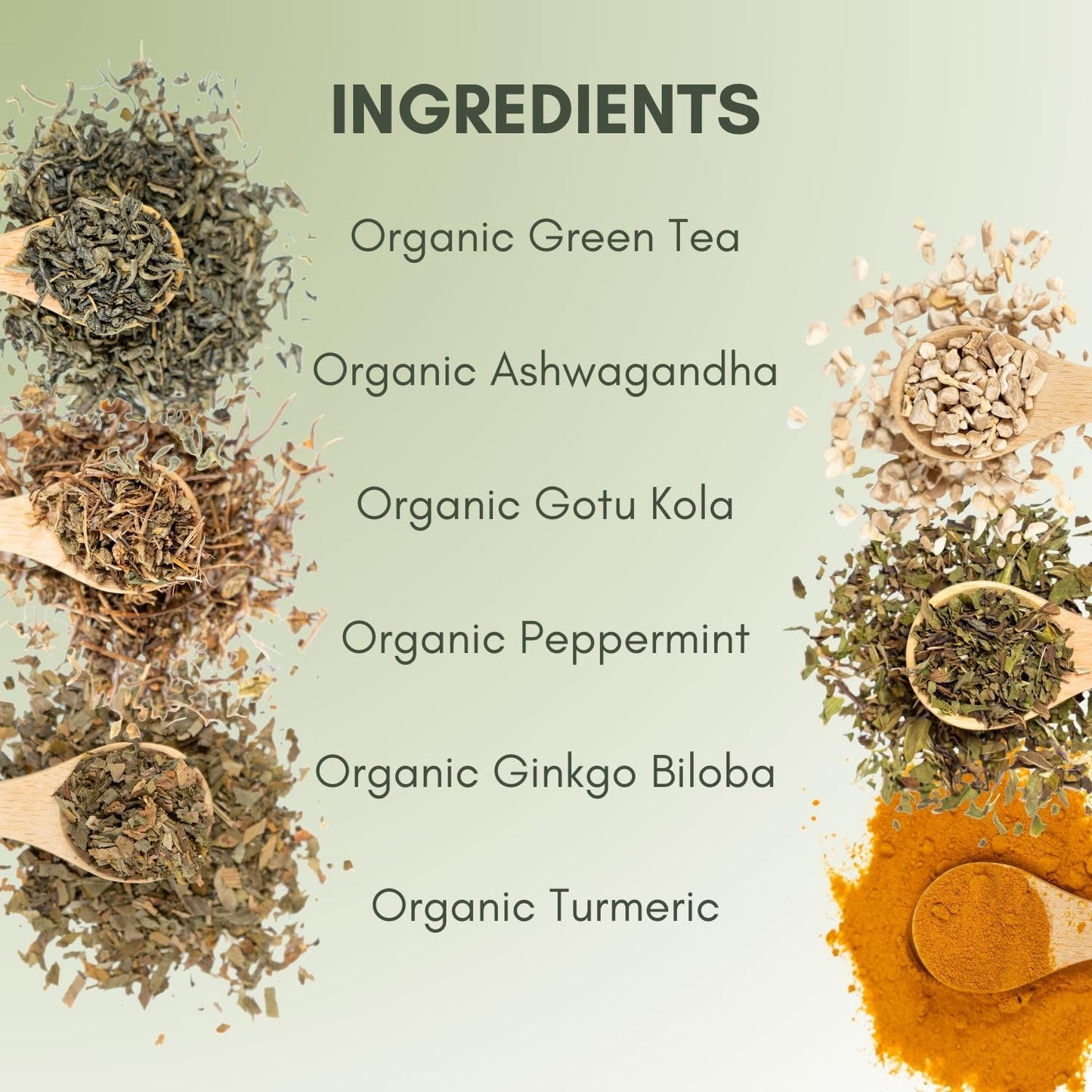 Organic Brain Health Green Tea - 2oz Bag (Approx. 30 Servings) | Full Leaf Tea Co.