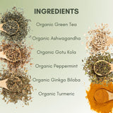 Organic Brain Health Green Tea - 2oz Bag (Approx. 30 Servings) | Full Leaf Tea Co.