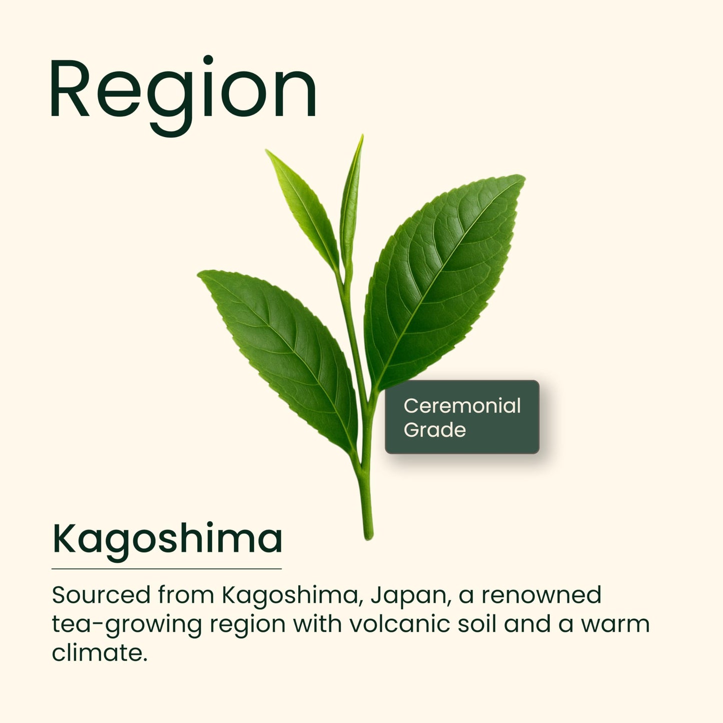 Heapwell Japanese Matcha - Premium & Ceremonial & AAA Grade Matcha Tea | Authentic Japanese Origin (1.05oz (30g), Ceremonial Grade)