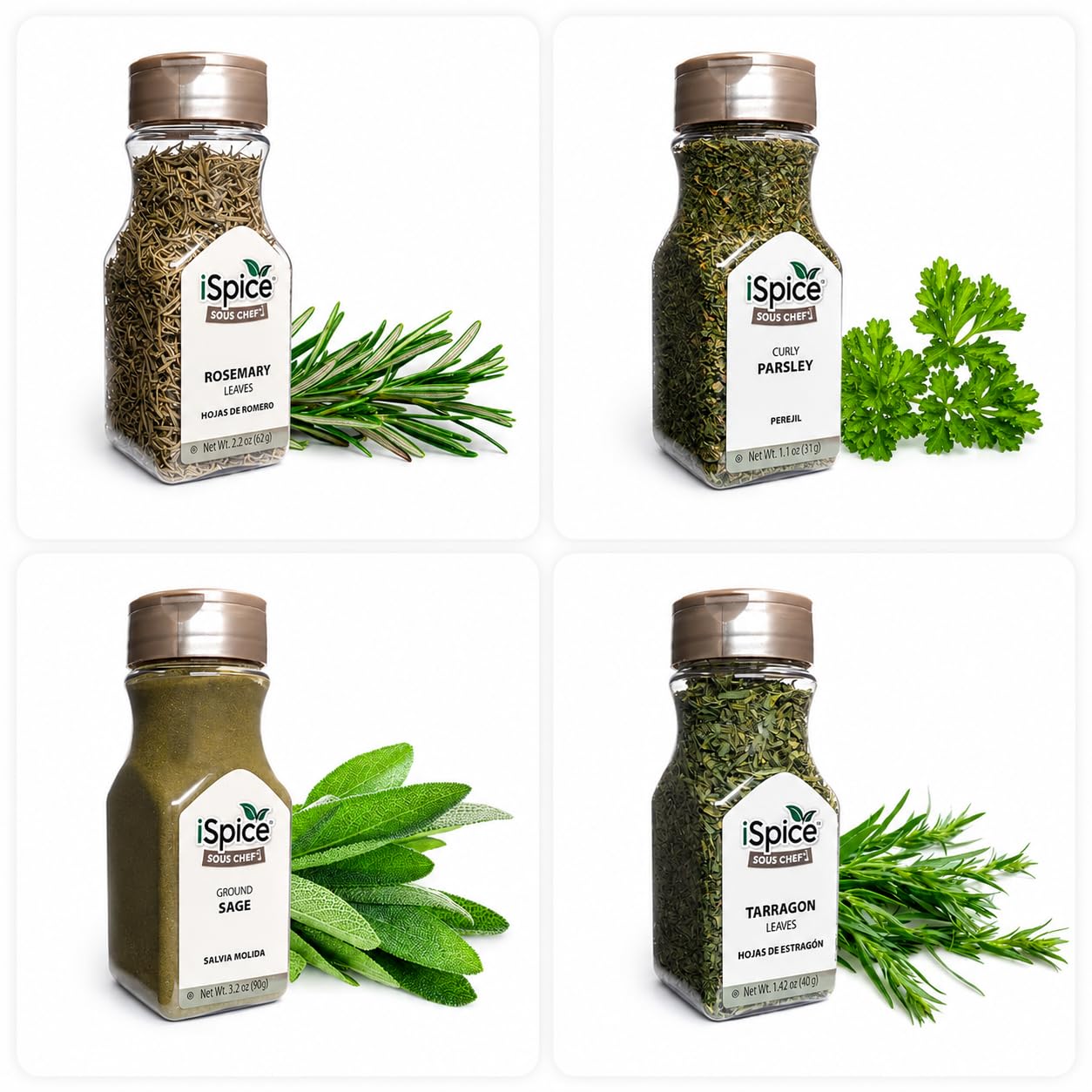 iSpice Starter Spice Set- Seasonings for Cooking - 24 Pack Starter Spice Gift Set | Silk Road
