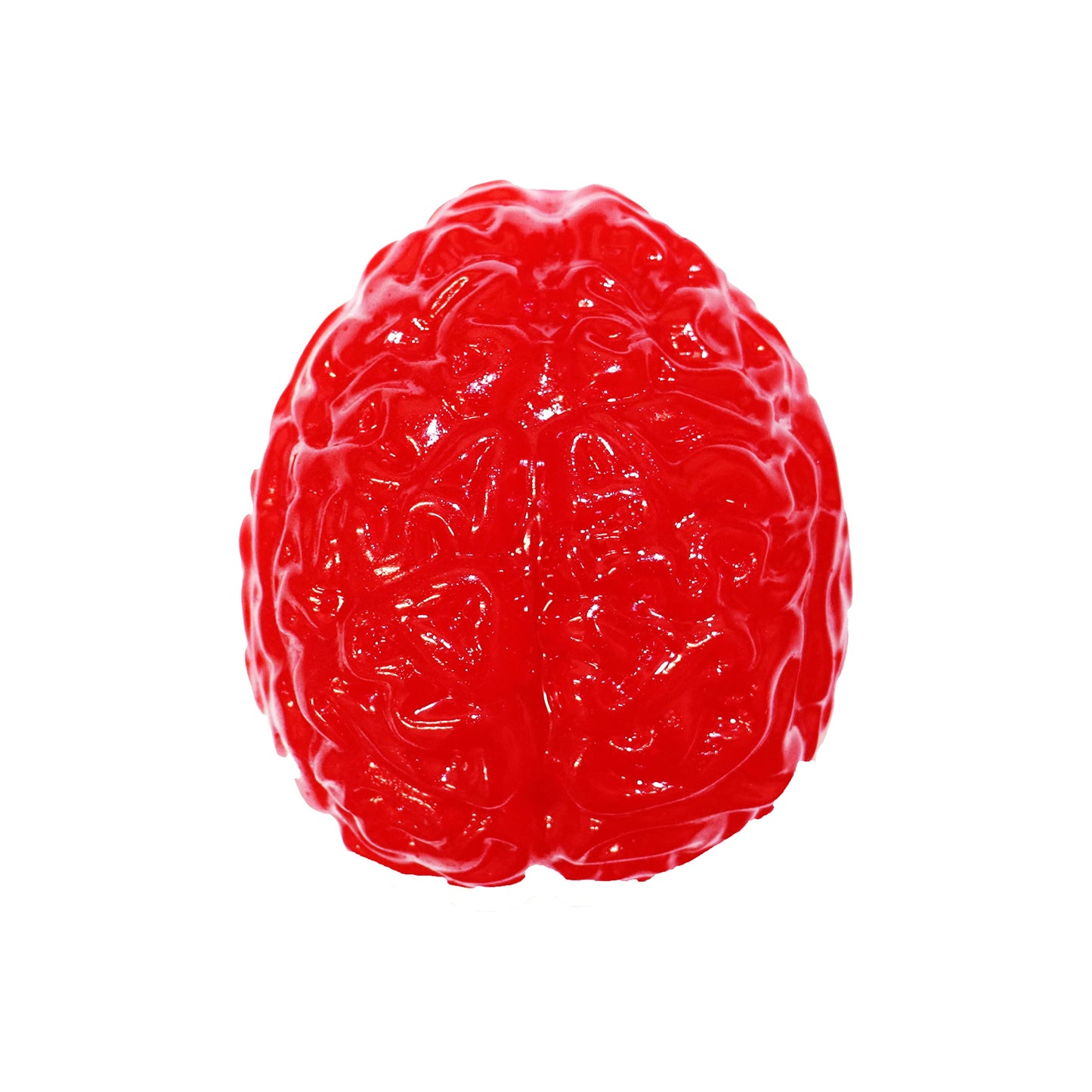 The Gummy Bear Guy | World Famous Gummy Bears (TM) | Gummy Brain | Tropical Fruit