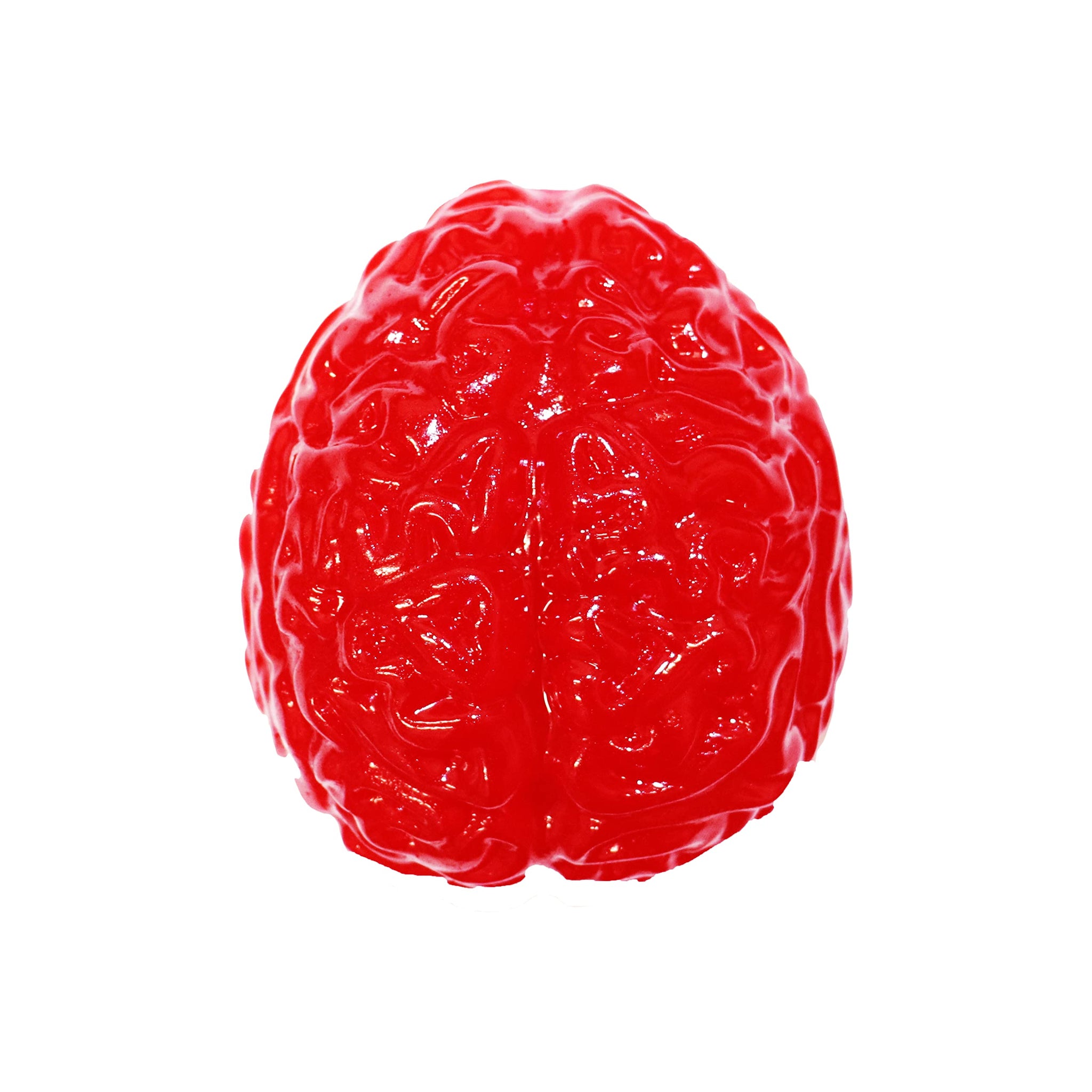 The Gummy Bear Guy | World Famous Gummy Bears (TM) | Gummy Brain | Tropical Fruit