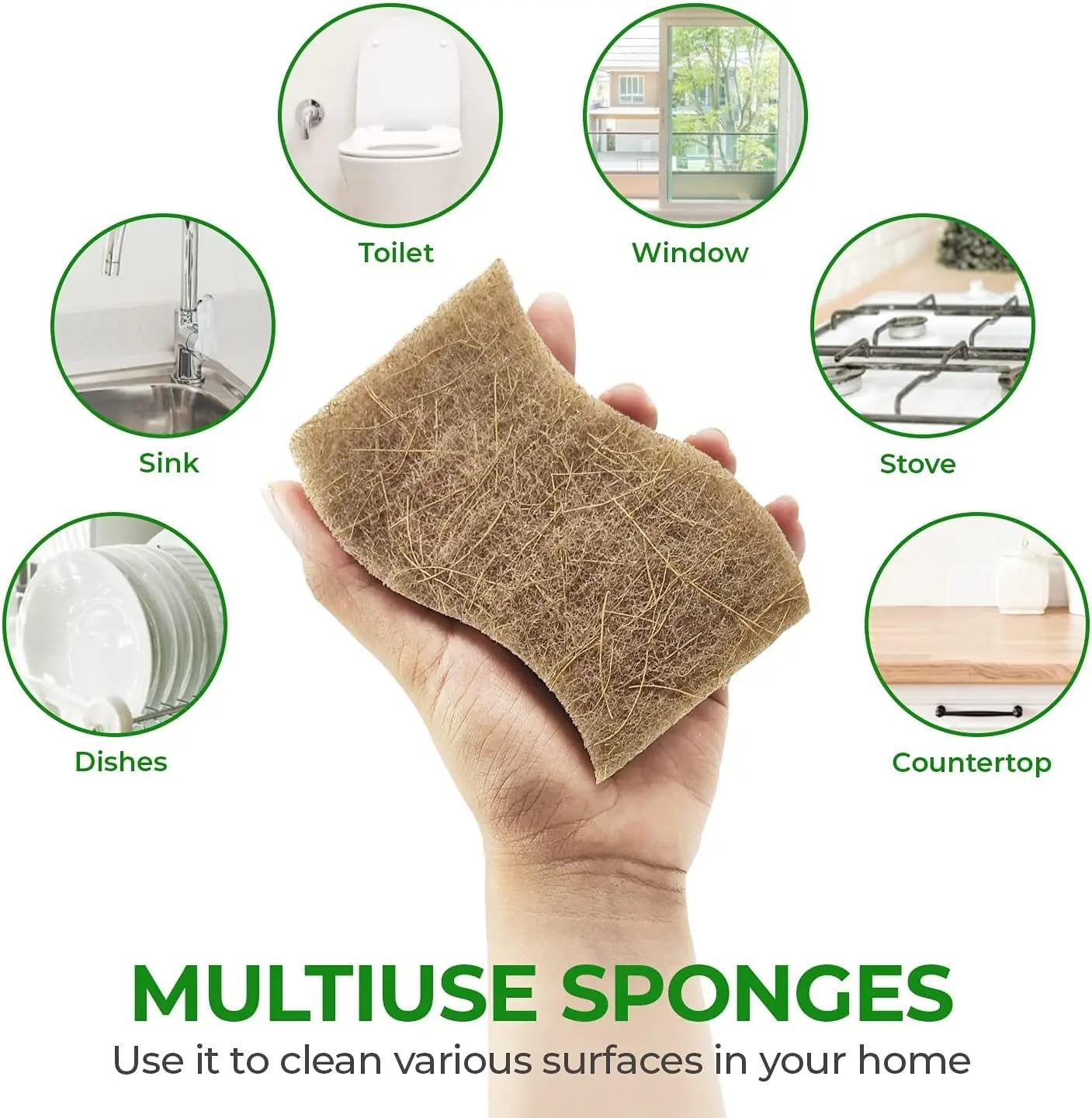 Graham & Ash Co 6 Pack Biodegradable Natural Sponges - with Coconut Scrubber for Kitchen, Surfaces, Non Abrasive