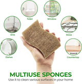 Graham & Ash Co 6 Pack Biodegradable Natural Sponges - with Coconut Scrubber for Kitchen, Surfaces, Non Abrasive