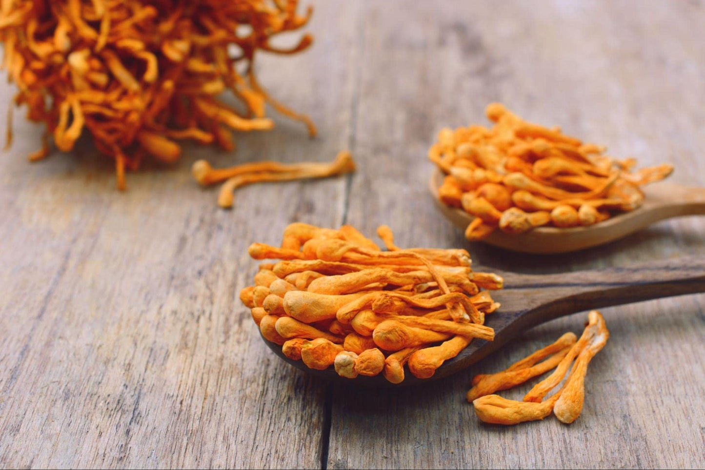 ginger tea with vitamin c - FOCUS & MIND TEA HERBAL 14 days, non gmo, gluten free with lion mane amd cordyceps mushroom, licorice root - ashwagandha