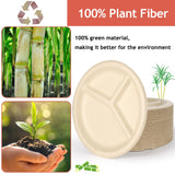 Extrapins 125 Pack 3 Compartment Paper Plates,Compostable Plates,Disposable Paper Plate,9 Inch Heavy Duty Biodegradable Plate for Daily Meals,Food