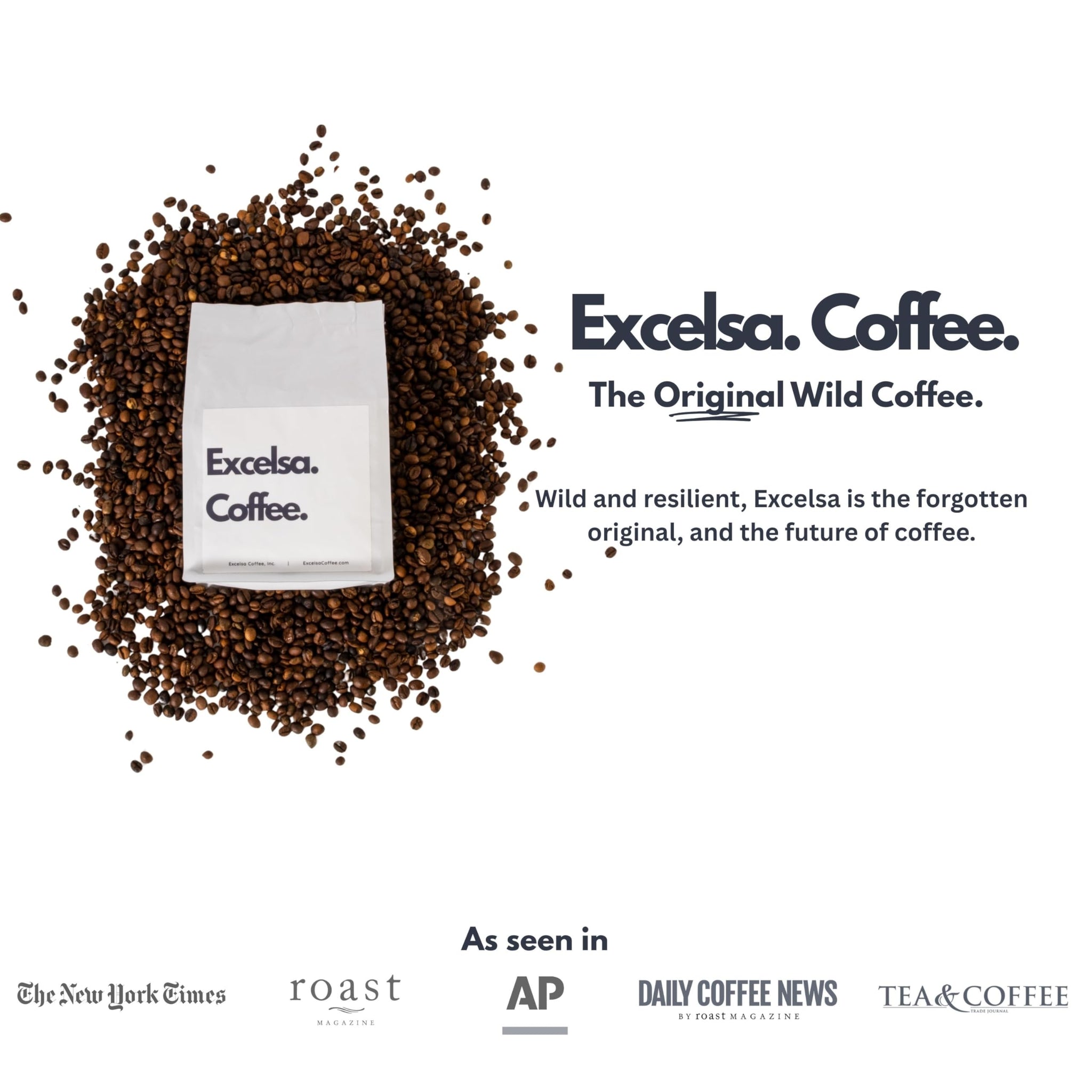 Excelsa Coffee Rare Species Low Acid Smooth Daily Coffee Whole Bean Medium Roast 12 oz