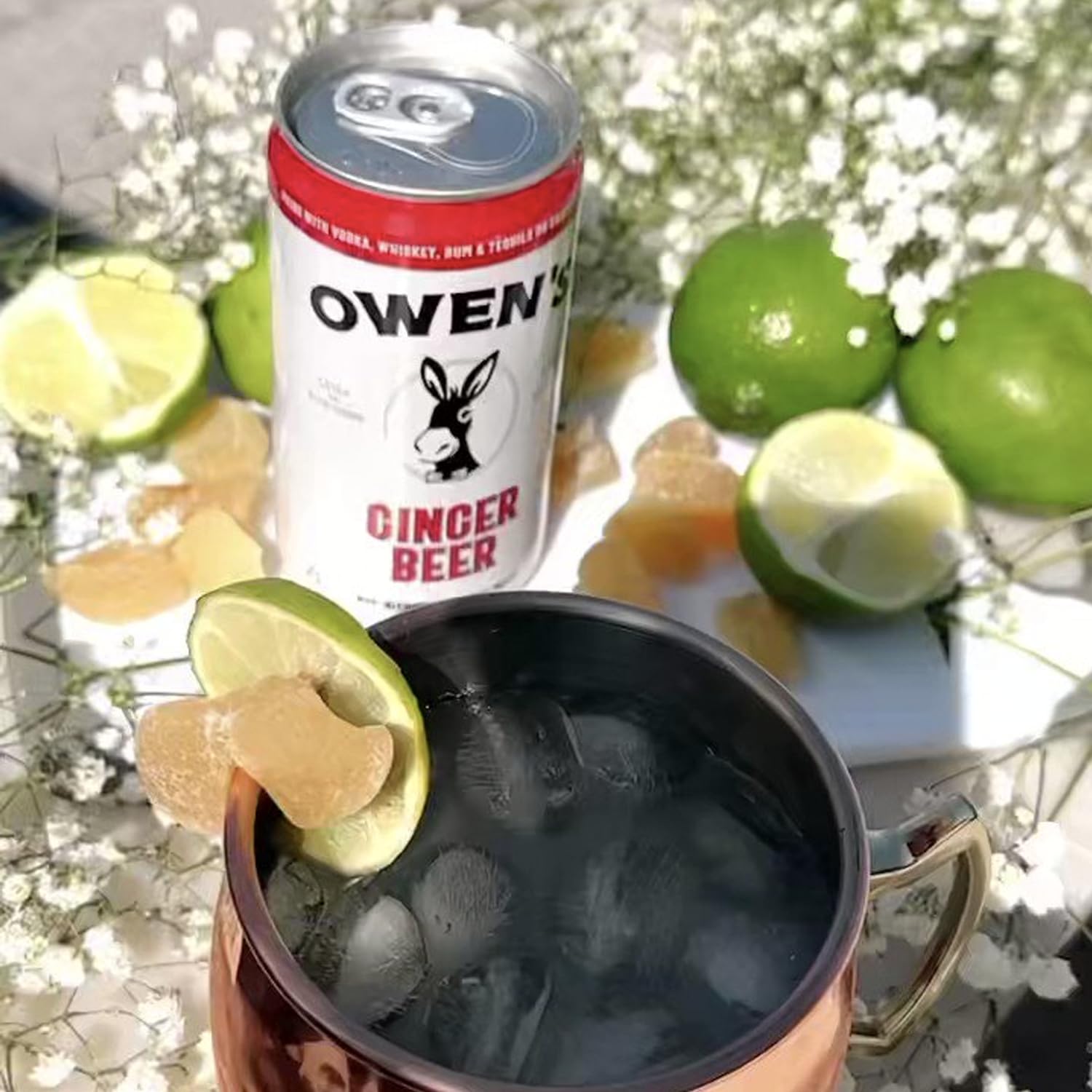 Owen’s Craft Mixers | Ginger Beer 2 Pack 750ml | Handcrafted in the USA with Premium Ingredients | Vegan & Gluten-Free Soda Mocktail and Cocktail
