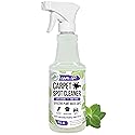 Mighty Mint Carpet Spot Cleaner, Spray to Remove Carpet Stains Instantly, Natural Peppermint Scent, 16oz