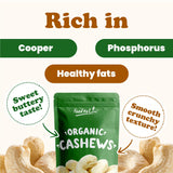 Food to Live - Organic Cashews, 8 Ounces Whole, Unsalted, Non-GMO, Kosher, Raw, Vegan, Bulk