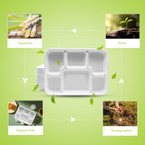 three leaf 6 Compartment Bagasse Tray 50 Ct. Heavy Duty, Super Strong,Eco Friendly Disposable Bagasse Plates,100% Biodegradable Plates, Microwave