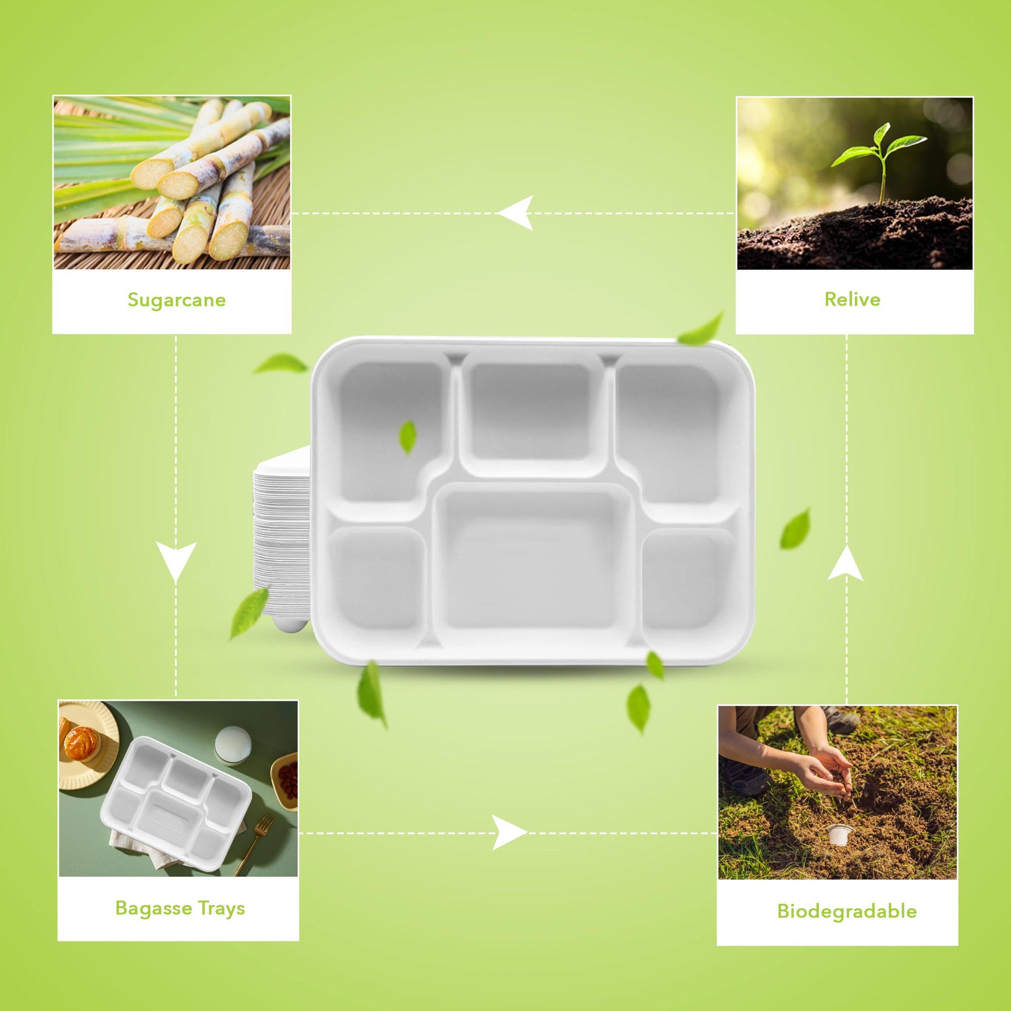 three leaf 6 Compartment Bagasse Tray 50 Ct. Heavy Duty, Super Strong,Eco Friendly Disposable Bagasse Plates,100% Biodegradable Plates, Microwave