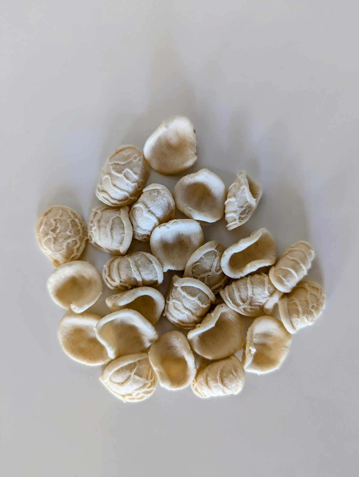 Giannetti Artisans Italian Handmade Orecchiette Pasta - 17.63 oz (2-Pack)