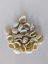 Giannetti Artisans Italian Handmade Orecchiette Pasta - 17.63 oz (2-Pack)