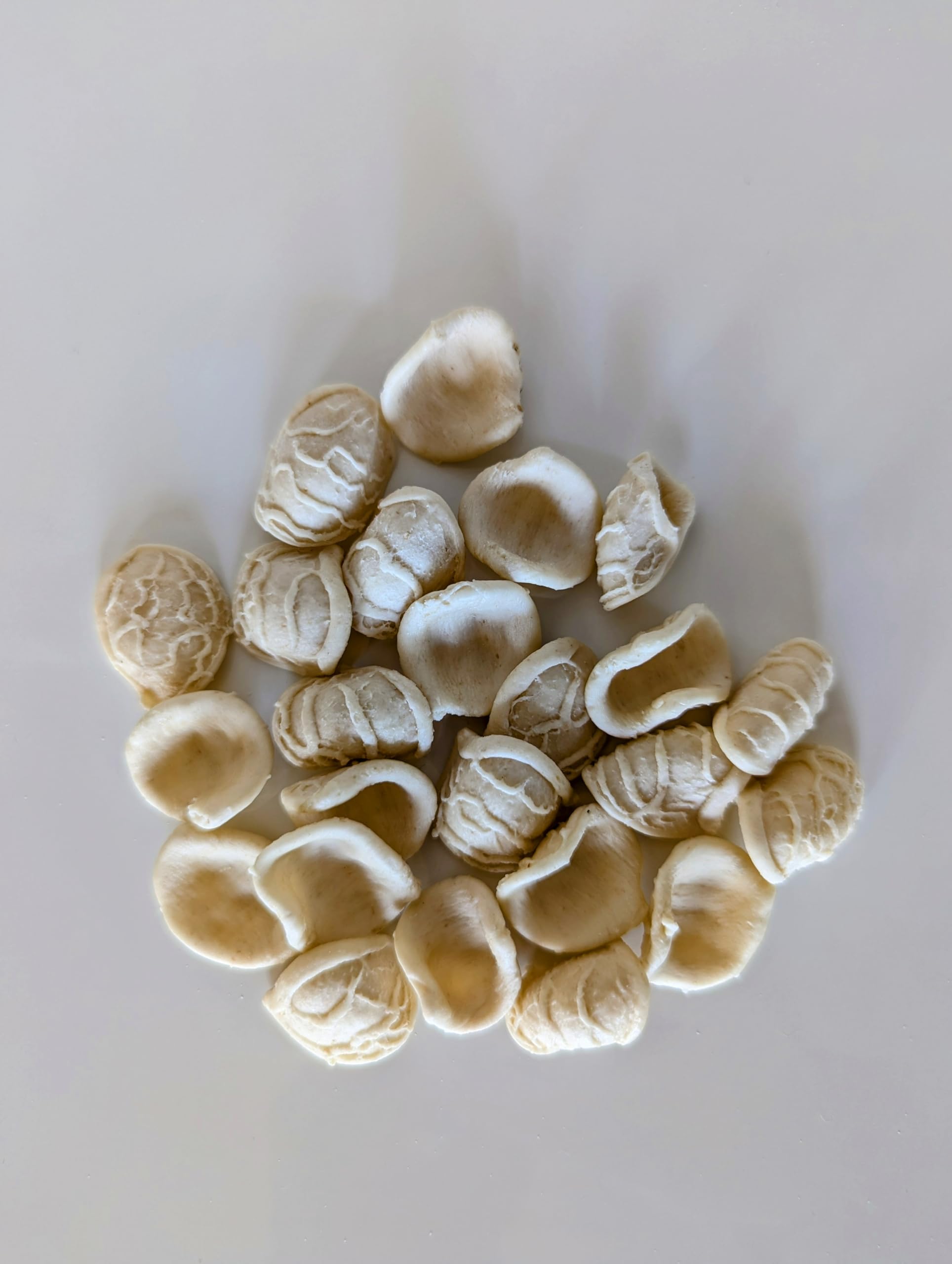 Giannetti Artisans Italian Handmade Orecchiette Pasta - 17.63 oz (2-Pack)