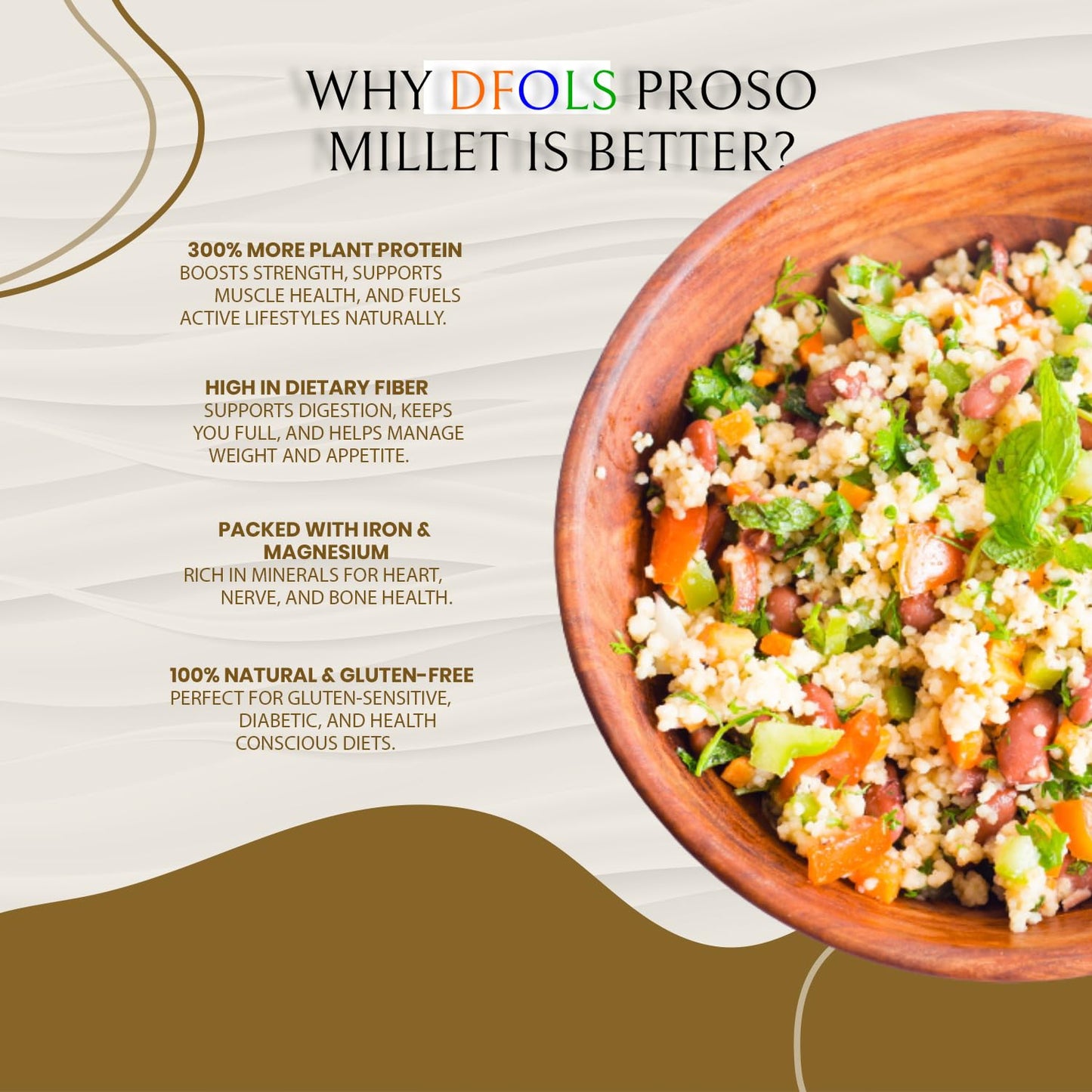 DFOLS Proso Millet Whole Grain Mild Neutral Flavor for Cooking 0.55lb 8.82oz (250g) Premium Quality ???????