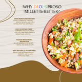 DFOLS Proso Millet Whole Grain Mild Neutral Flavor for Cooking 0.55lb 8.82oz (250g) Premium Quality ???????
