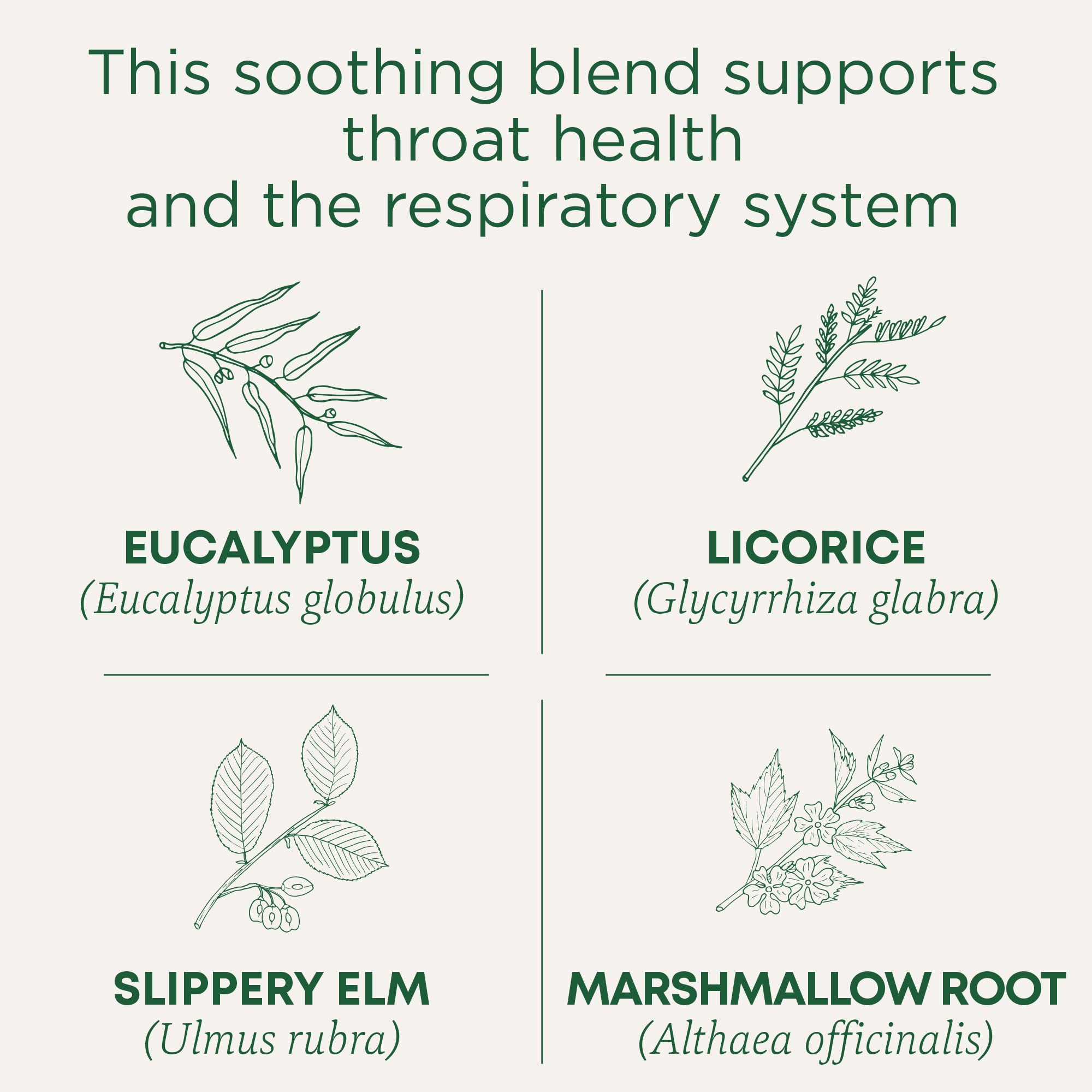Traditional Medicinals Organic, Throat Coat Tea, Eucalyptus & Slippery Elm - Supports Respiratory and Throat Health - Kosher, Non-GMO, Caffeine-Free