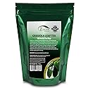 Zokiva Nutritionals Graviola Tea 100 Bags Soursop - Annona Muricata - Guanabana Herbal Tea - 100% Pure Soursop Leaf for - Caffeine-Free Graviola Tea