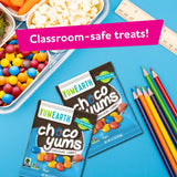 YumEarth Choco Yums, 5-0.7 Ounce Snack Packs, Allergy Friendly, Gluten Free, Non-GMO, Vegan, No Artificial Flavors or Dyes (3.5 Ounce (Pack of 1))