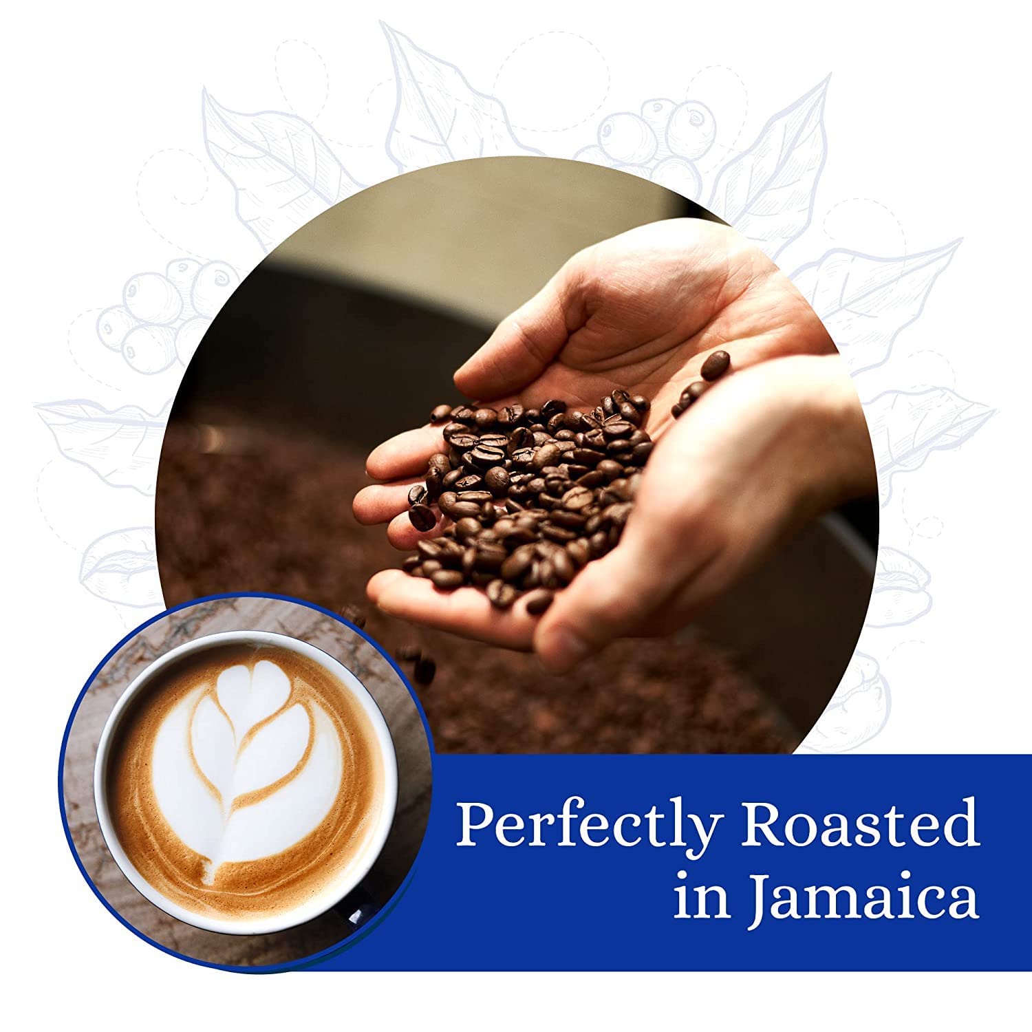 Cafe Blue - 100% Authentic Jamaica Blue Mountain Coffee from Clifton Mount Estate, Medium Roast Whole Bean, Premium Arabica Beans, Bag of 16 Ounces (1
