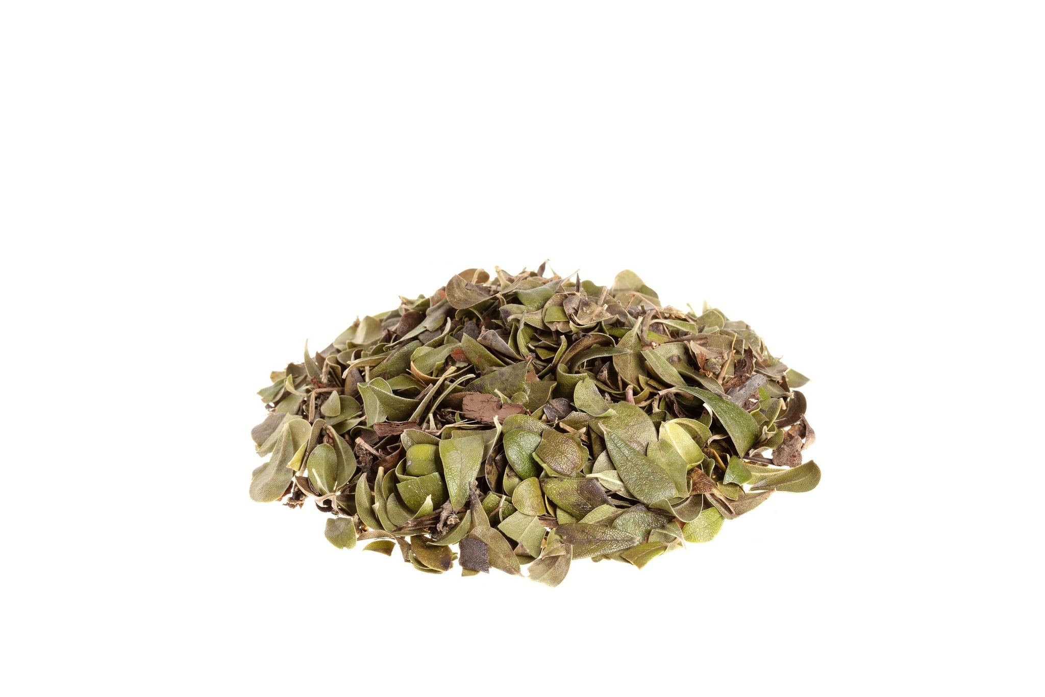 Organic Uva Ursi Dried Leaves - 8Oz (REAL WILD HARVEST) | 100% USDA Certified Organic | Loose Leaf (Arctostaphylos Uva-Ursi aka Bearberry Leaves aka