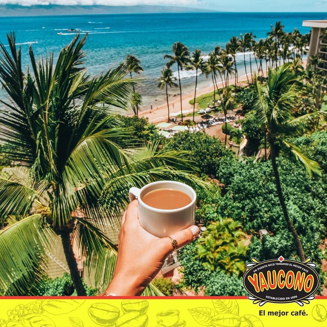 Yaucono Instant Coffee Decaf, Arabica, Medium Roast, from Puerto Rico, Glass Jar, 8 Ounce (Pack of 1)