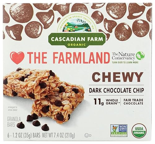 (NOT A CASE) Chocolate Chip Chewy Granola Bars