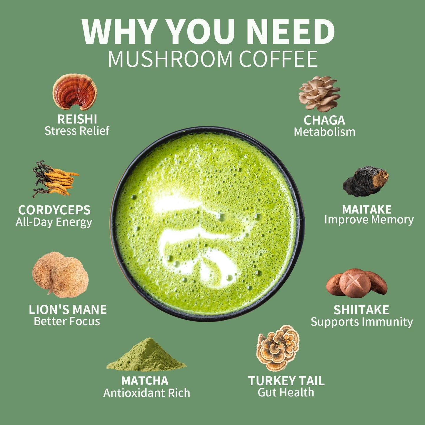 YISANFLO 7-in-1 Mushroom Matcha for Energy, Focus, Digestion, Immunity, Turkey Tail, Shiitake, Lion's Mane, Ceremonial-Grade Matcha Mushroom Powder 8