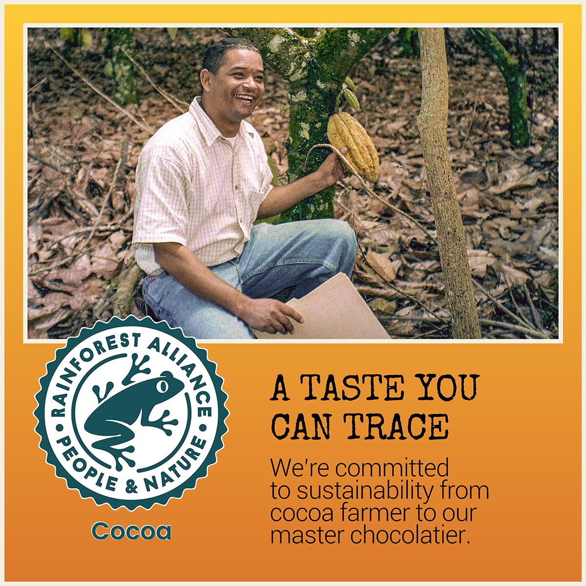 Chocolove Filled Salted Peanut Butter Milk Chocolate Bars | 33% Cocoa | Crafted with Silky Premium Chocolate | Non GMO, Rainforest Alliance Certified