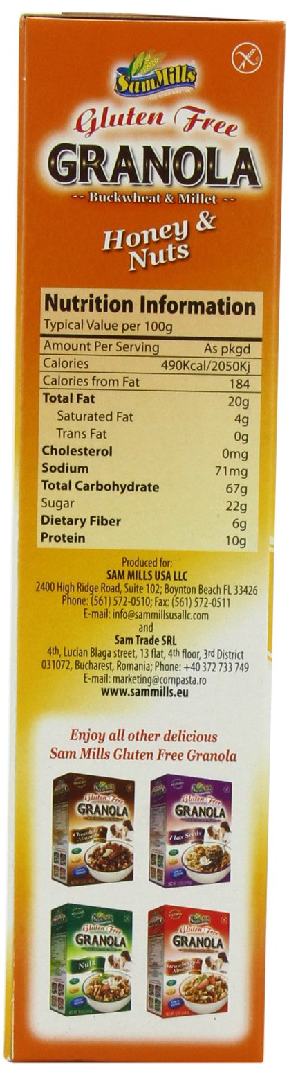 Gluten Free Granola Honey and Nuts 12 Ounces (Case of 6)