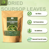 Diyon's Dried Whole Soursop 200 Leaves (110g) 100% All Natural, Delicious Fresh Tea | From Sri Lanka | Premium Wildcrafted Quality, Packed In a Stand