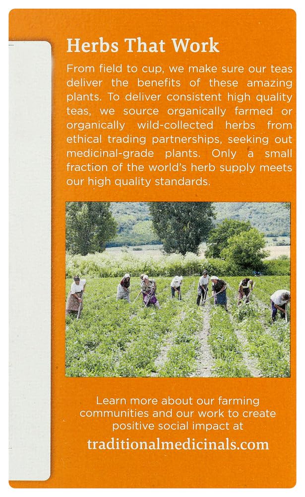 Traditional Medicinals Tea Grn Peppermint Org