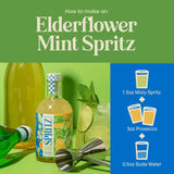 Mixly Elderflower Mint Spritz Mixer