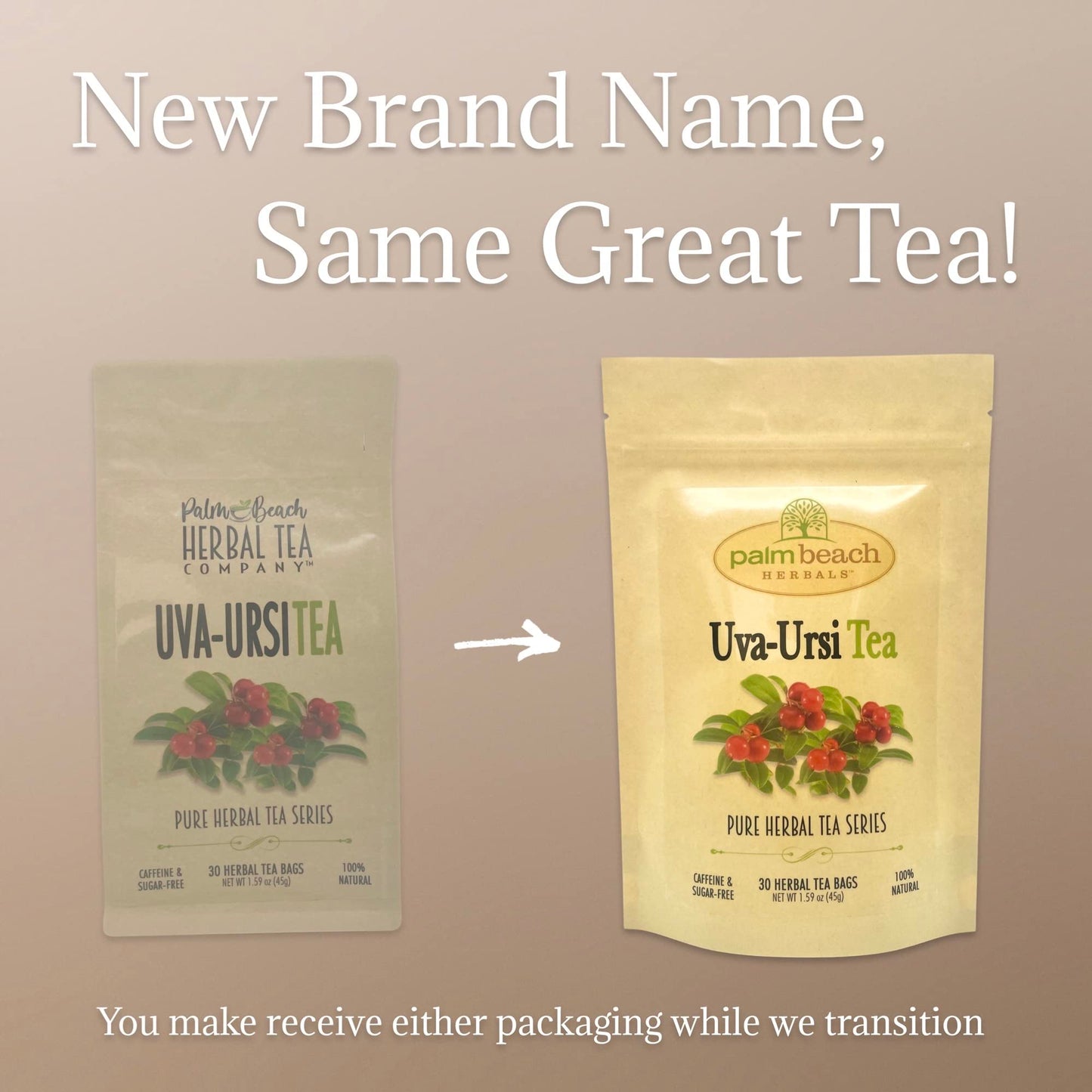 Palm Beach Medicinal Herbs - Uva Ursi Tea - Pure Herbal Tea Series, 30ct