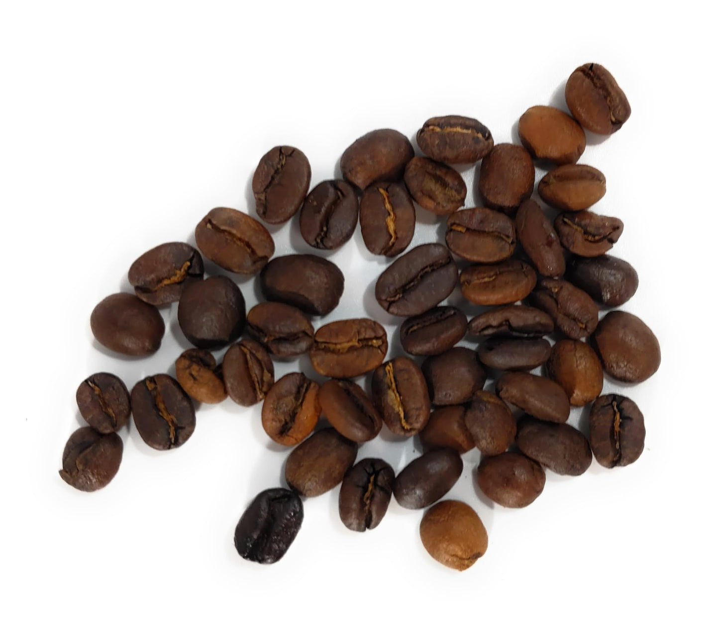 Jungle Cat Cacao - Fire Roasted Costa Rican Coffee - Medium Roast - Whole Bean - Rich and Smooth Flavor - Roasted Over Open Flame - 5.5oz.