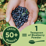 Wild Blueberry Powder Organic 5 Ounce Bag USDA Certified & Lab Tested - Freeze Dried Blueberries No Added Sugar, Additives, or Fillers - Antioxidant