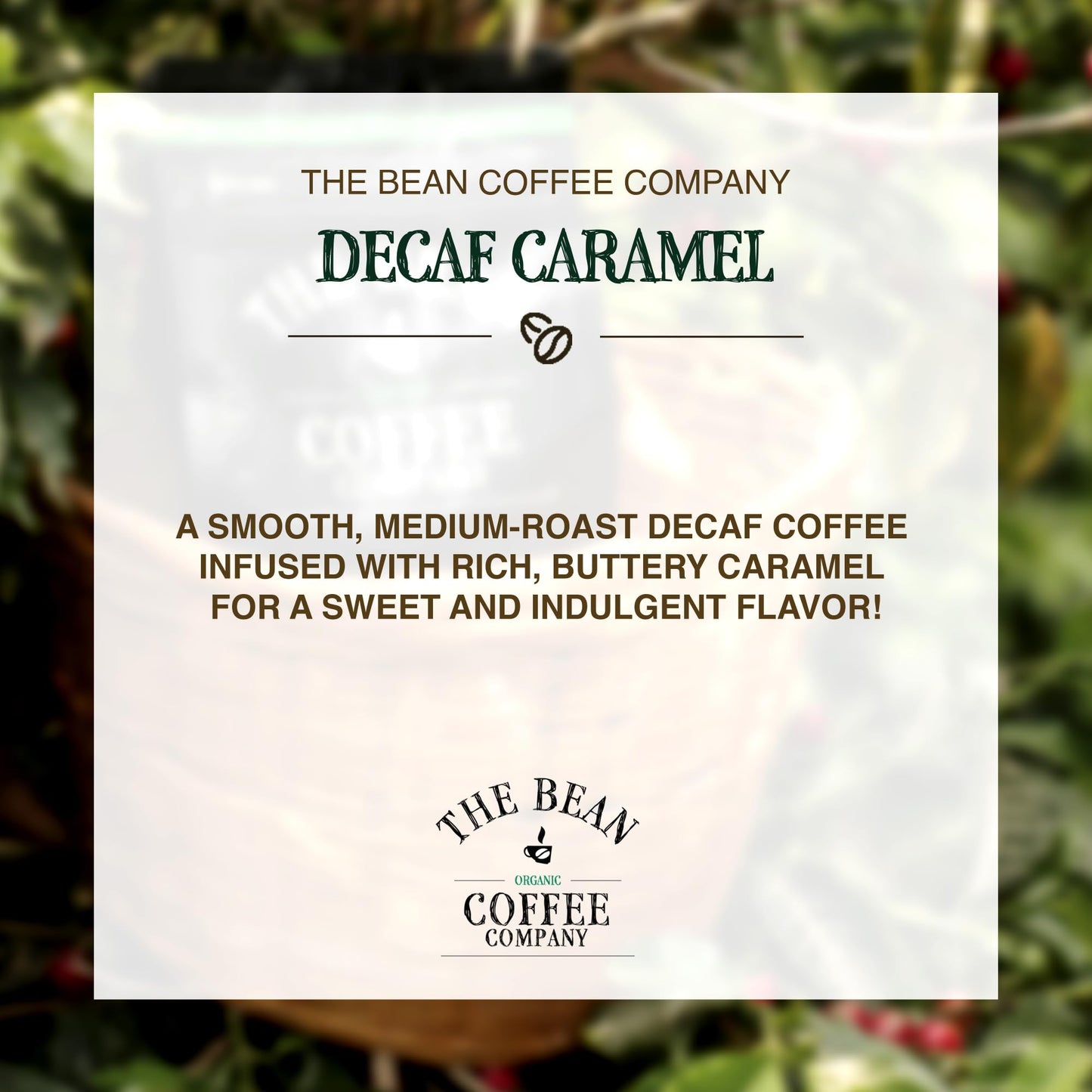 The Bean Organic Coffee Company Water Processed DECAF Caramel, Medium Roast, Ground Coffee, 16-Ounce Bag, Café Molido Tostado Orgánico descafeinado