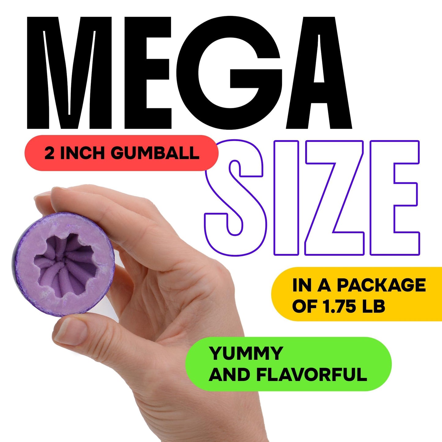 Giant Gumballs - 2 Bags of Mega Fruit Gumballs - 2 Inch Giant Chewing Bubble Gum - Big Fruity Gum 1.75 Lb per Bag
