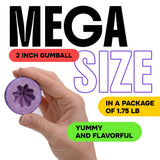 Giant Gumballs - 2 Bags of Mega Fruit Gumballs - 2 Inch Giant Chewing Bubble Gum - Big Fruity Gum 1.75 Lb per Bag