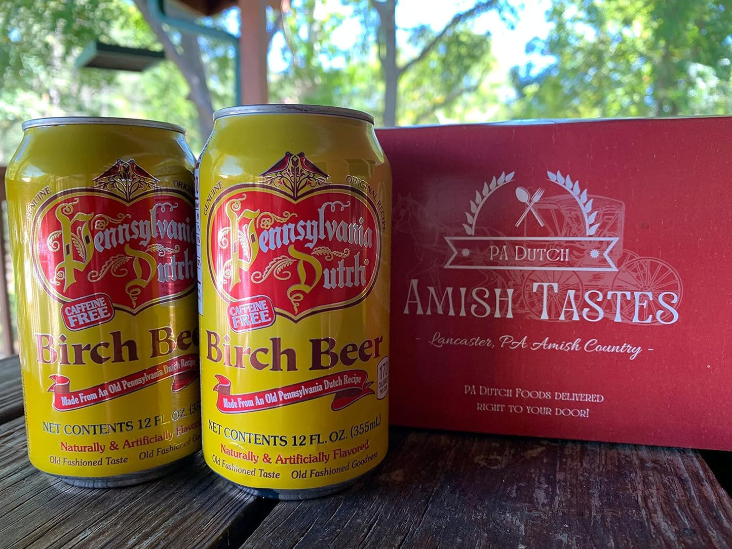 AmishTastes PA Dutch Birch Beer, Protected With High-Density Foam, 12 Oz. (Pack of 8)