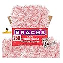 MINI CANDY CANES (250 CT) | Mini Candy Canes Red & White Made WITH REAL PEPPERMINT | Holiday Candy for Christmas, Santa Parade, ThanksGiving, Holidays