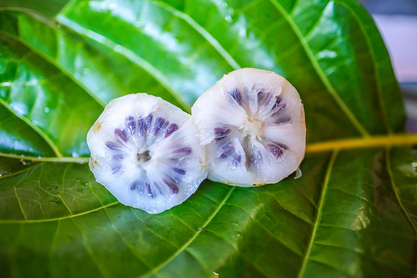 Wailua River Noni Juice (4)