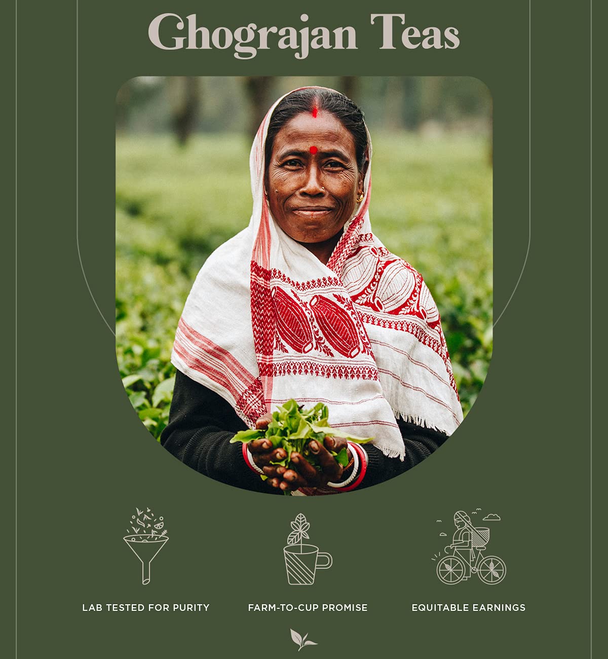 Loose Leaf Chai Tea (200+ Cups) - Fresh Harvest - Assam CTC Black Tea Blended with Cinnamon, Cloves, Ginger and Cardamom - Direct from Our