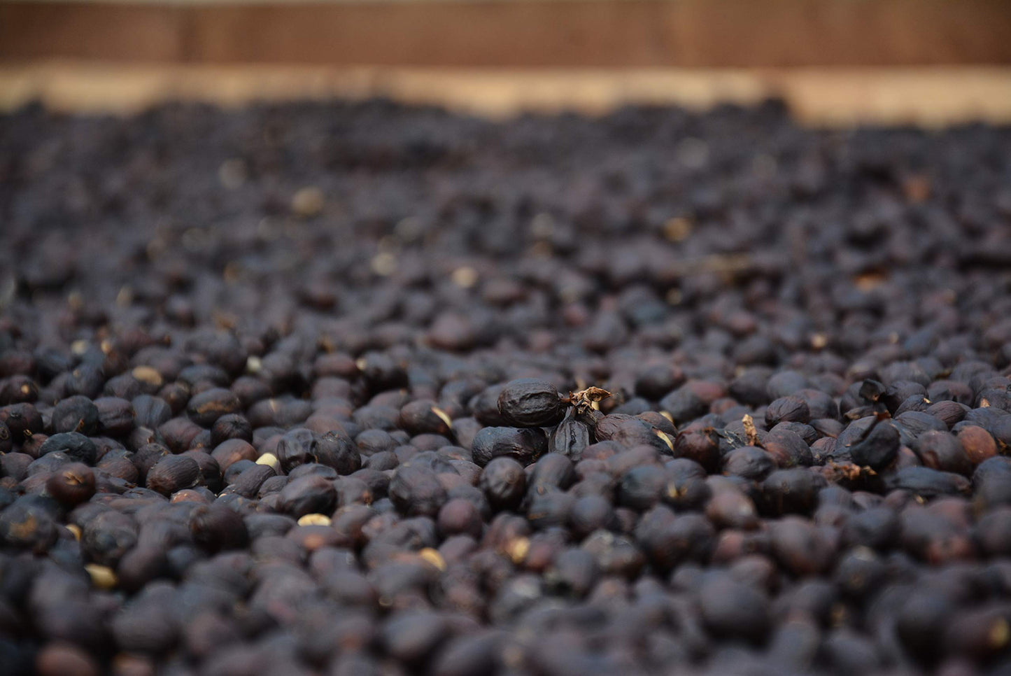 Andina Distributors 1lb - Colombian Dark Premium Roast - Whole Bean Coffee - Low Acidity