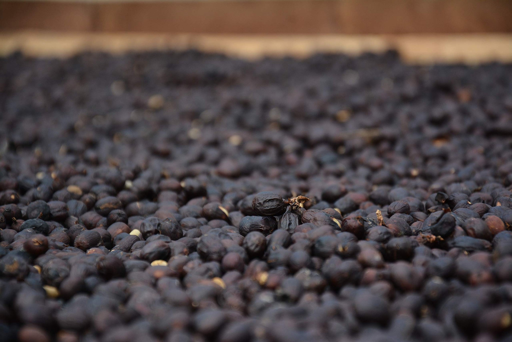 Andina Distributors 1lb - Colombian Dark Premium Roast - Whole Bean Coffee - Low Acidity