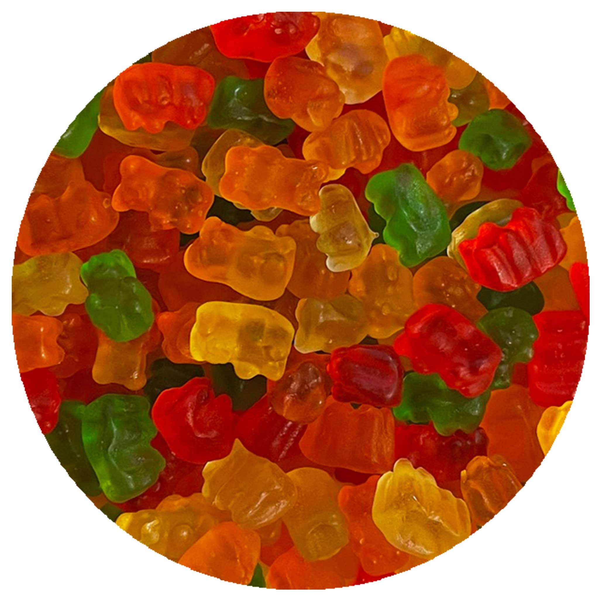 Mini Gummy Bears, 1 Pound Bulk Bag, Hampton Distribution