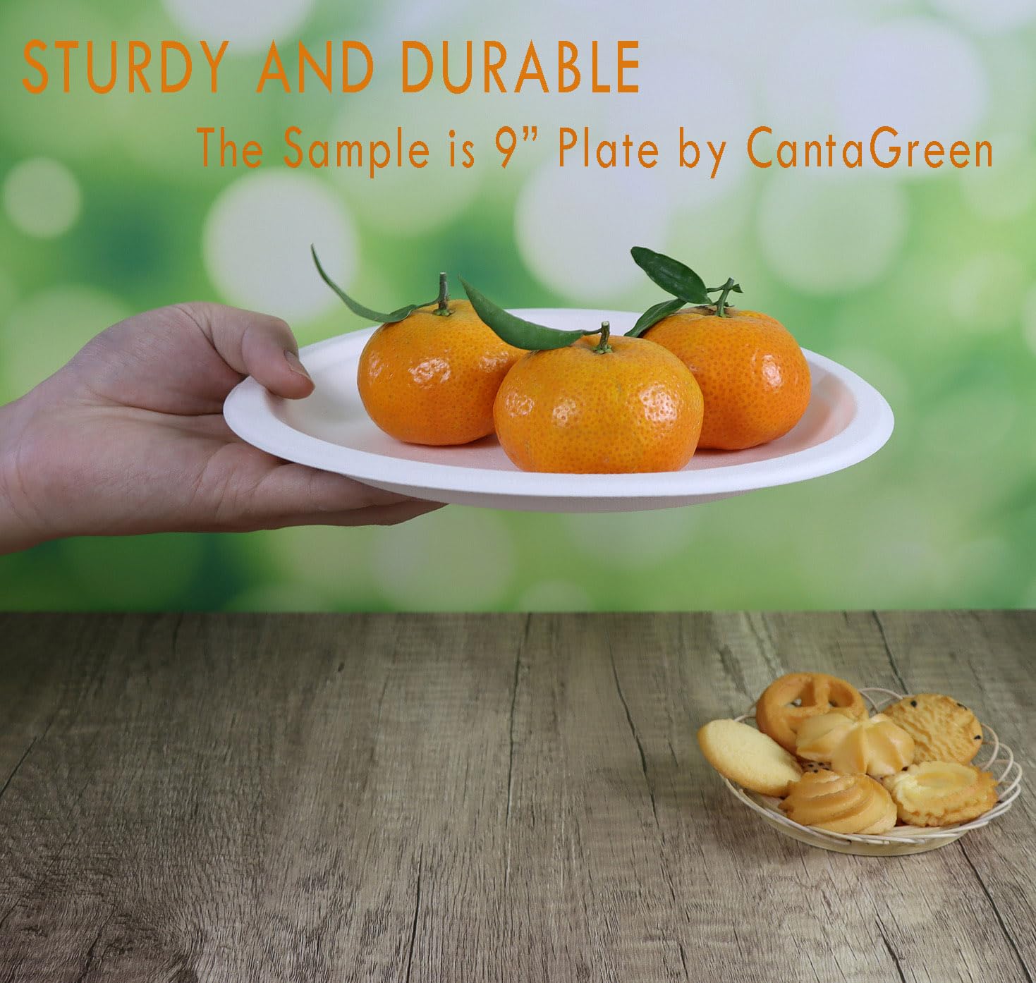 CantaGreen 6 inch Small Compostable Dessert Plates,100 Count Heavyduty Sugarcane/Bagasse and Bamboo Fibre Biodegradable Disposable Paper Plate